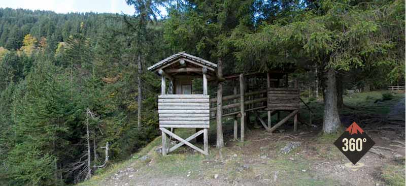 Baumhütten