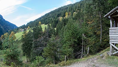 Waldlehrpfad Baumhütte