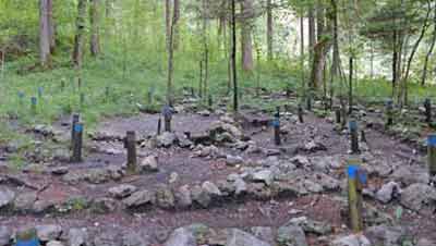 Irrgarten
