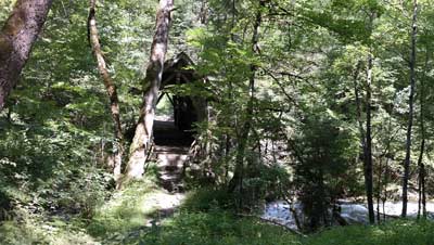 Im Wald versteckt