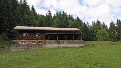 Stachelhof