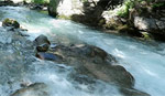 Wasser Lasanggabach