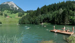 Badespass Seewaldsee